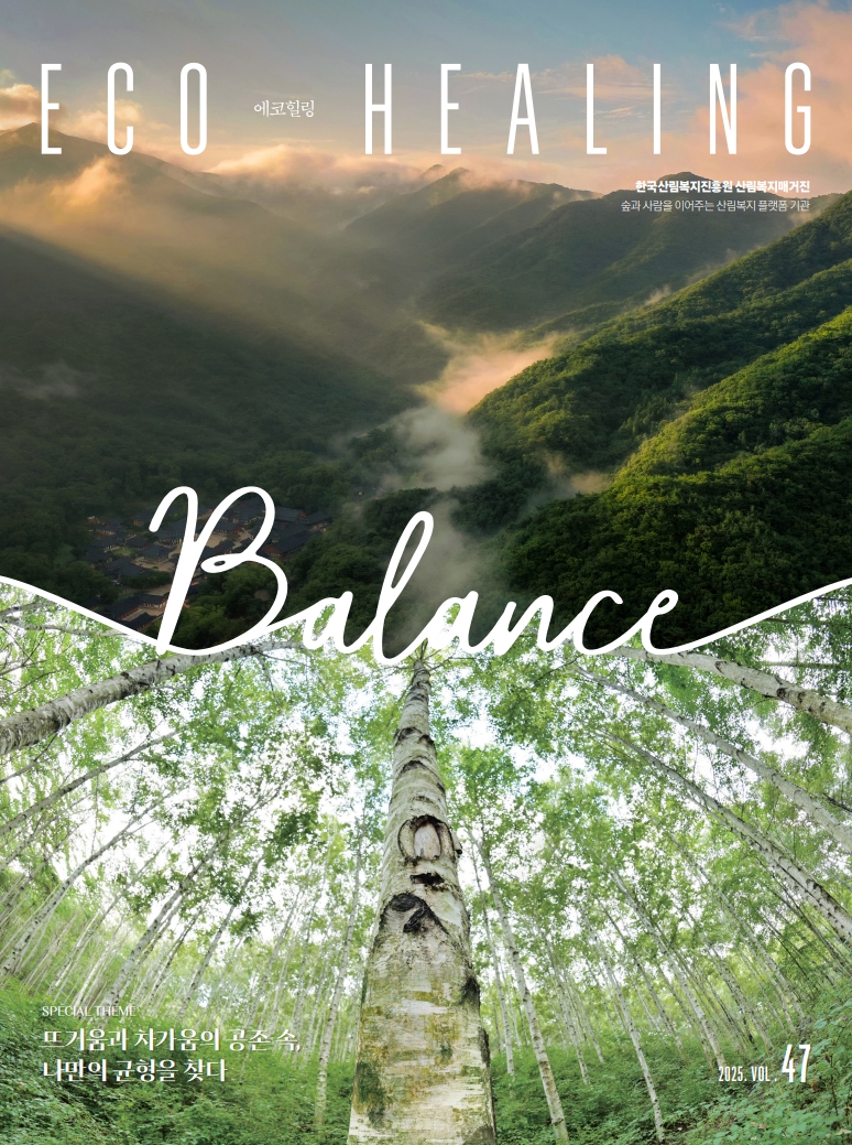 에코힐링47호